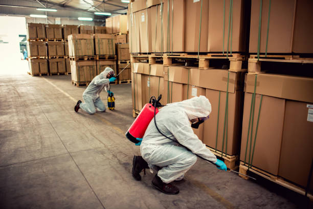 Best Mosquito Control Services  in Gurnee, IL
