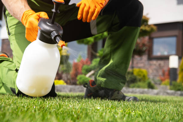 Flea Control Services in Gurnee, IL