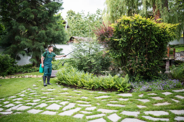 Best Residential Pest Control  in Gurnee, IL