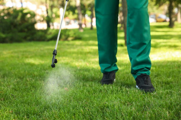 Best Pest Prevention Services  in Gurnee, IL