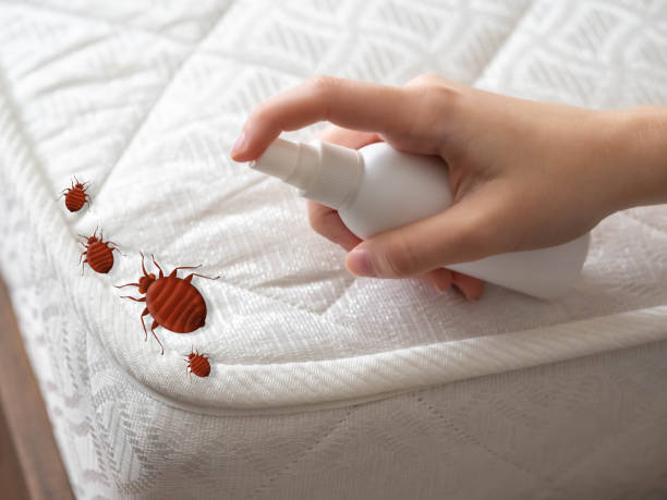 Pest Control for Restaurants in Gurnee, IL