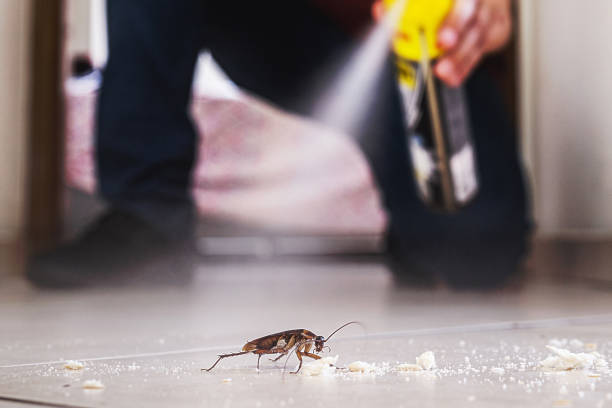 Best Best Pest Control Companies  in Gurnee, IL