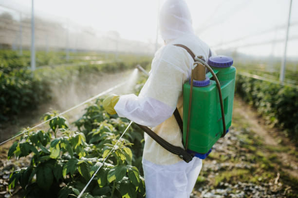 Best Bed Bug Extermination  in Gurnee, IL